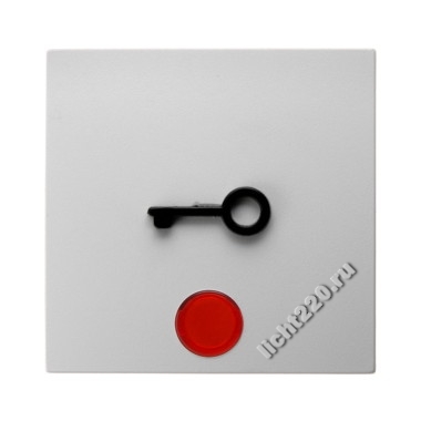 16511969Berker клавиша с красной линзой и выступающим символом &amp;amp;amp;amp;amp;quot;Дверь&amp;amp;amp;amp;amp;quot; цвет: полярная белизна, матовый, серия S.1/B.1/B.3/B.7 Glas (арт. B16511969)