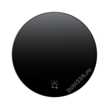 16202025Berker перекидной выключатель, с символом «ЗВОНОК», R.1/R.3, черный, с блеском (арт. B16202025)