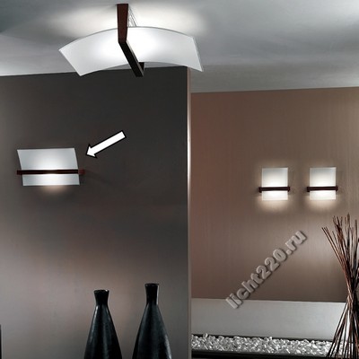 LL90116 - Настенно-потолочный светильник, серия WOOD, Linea Light, Италия, цвет Венге